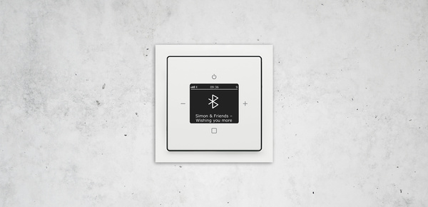 Busch-Radio Btconnect bei Remo Heyde in Tröbitz